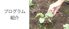 血液透析センター